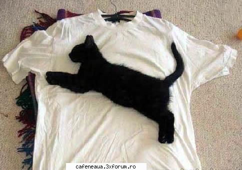Poze Hazlii - uite o poza hazlie! - Funny si CHAT