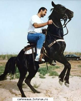 Uday Hussein - Ovidiu - Offtopic