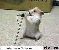 poze funny - asta da concert:) - Simpatie.ro